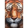 Maleri - Look at the Tiger