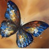 Maleri Butterfly