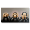 Maleri - Chimpanzee: No See, No Hear, No Speak