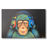 Maleri - Monkey Sound